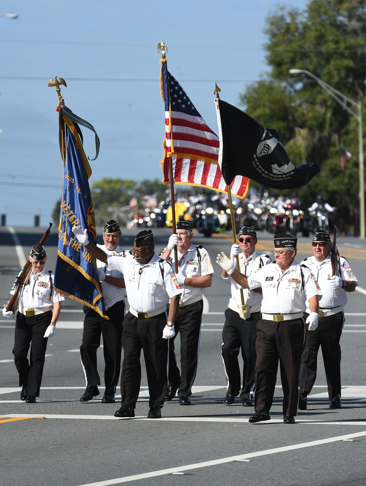 VFW colors.jpg
